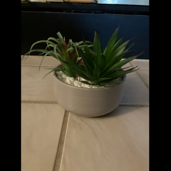 ❤️3/$12 Fake Plant Home Decor - Picture 3 of 3